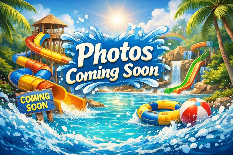 WhatsApp Image 2026 02 08 at 16.35.12 3468 768x512